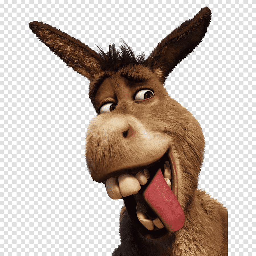 justberta