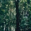 irmagonco