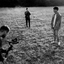 filminapa